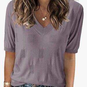 Arach & Cloz Women's Sz L Short Sleeve V-Neck Sweater Preppy Classic Purple Knit